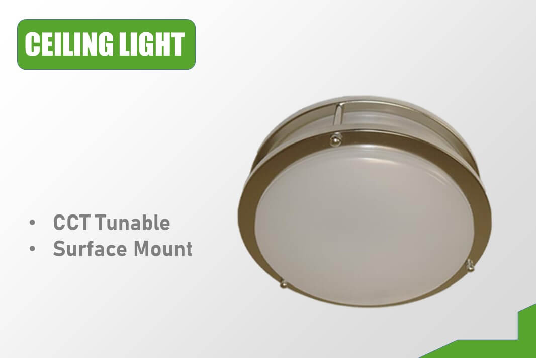 led ceiling flush mount light